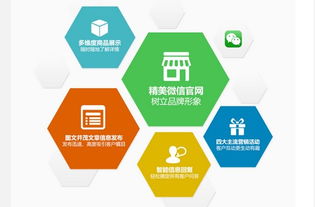 圈圈網絡公司微伙伴產品招商正火爆進行中，開啟網絡技術開發新篇章